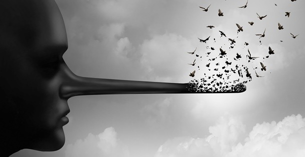 7 mitos sobre las plagas-destacada