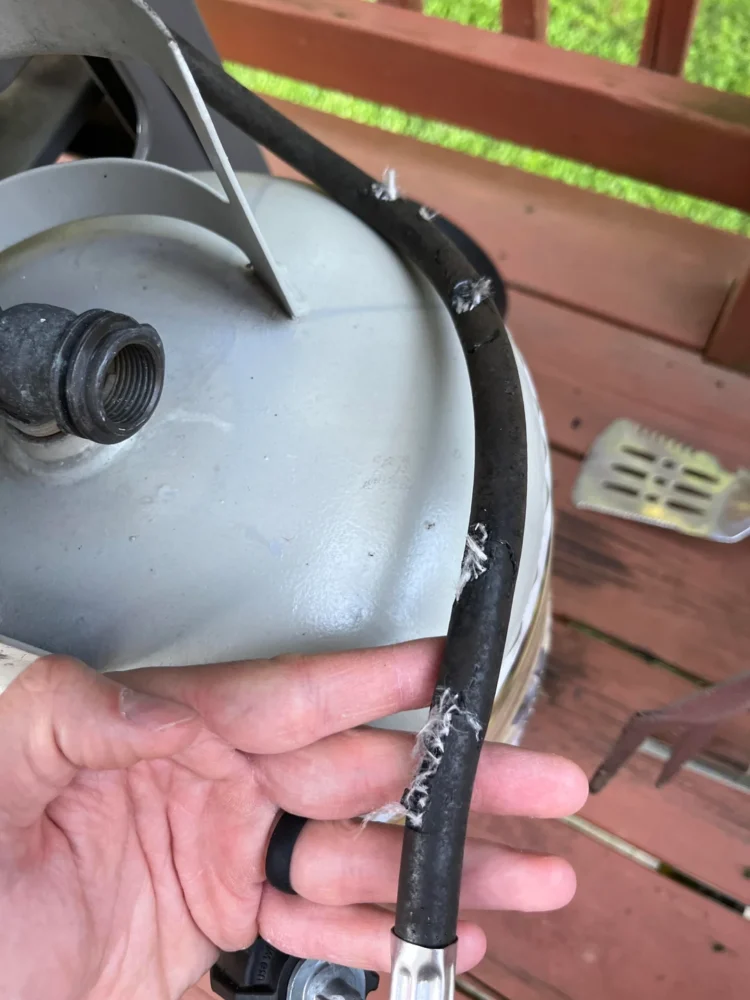 Como saber si los ratones estan royendo tus cables-1
