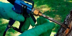 Endoterapia vegetal que es y como funciona-