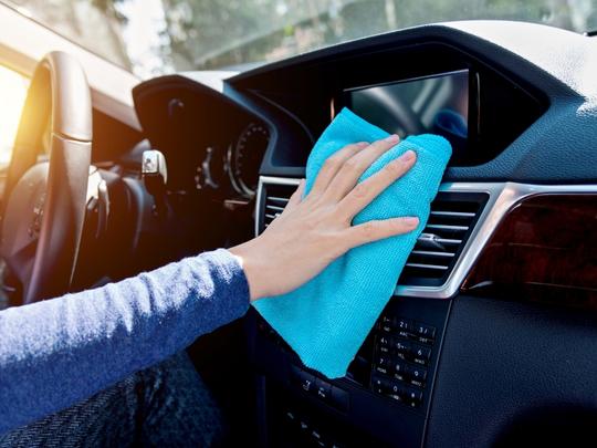 Errores comunes de plagas en coches-1