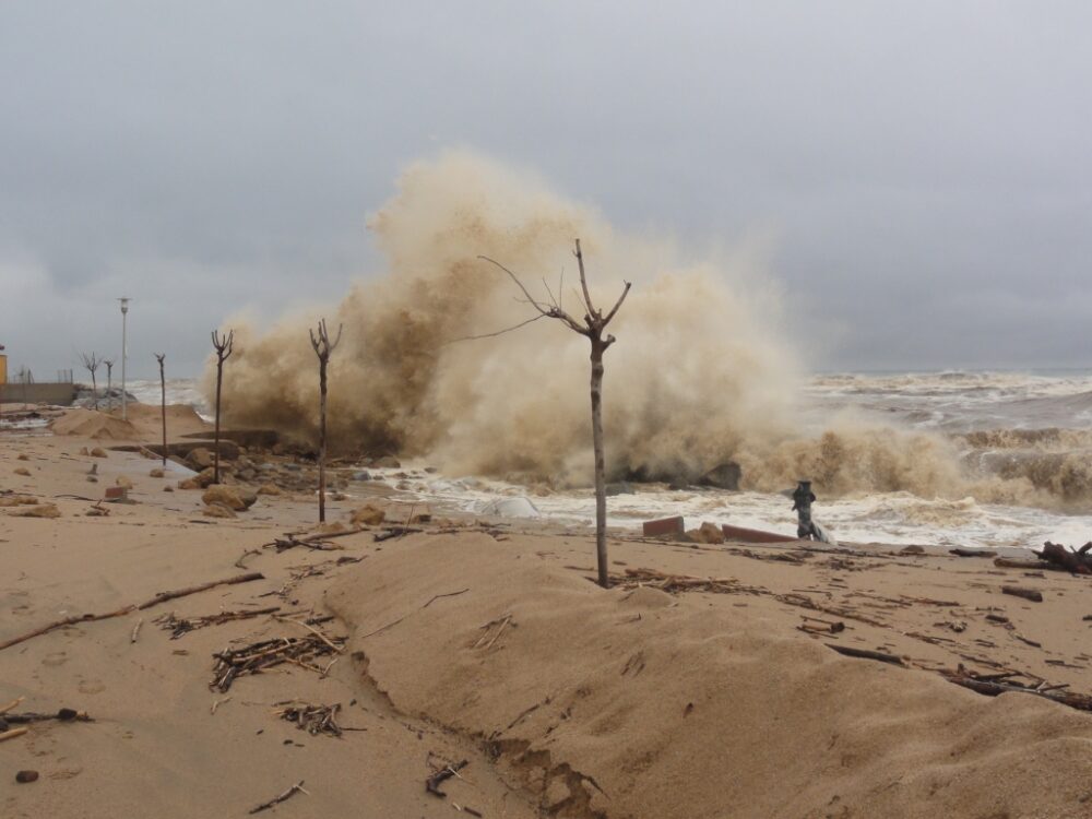 Proliferacion plagas despues de un temporal-destacada