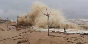 Proliferacion plagas despues de un temporal-destacada