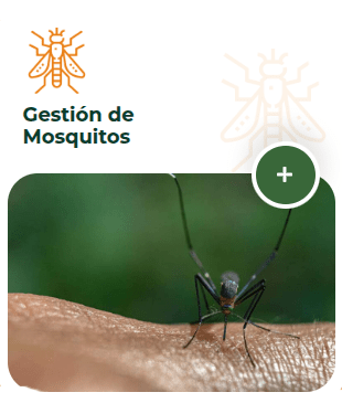 ¿Por qué Confiar en el manejo de Plagas con Plagas Sancti Petri para el Control de Mosquitos?