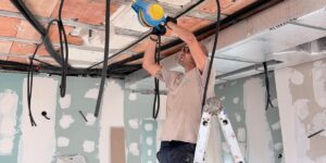 Tratamiento contra pulgas en vivienda